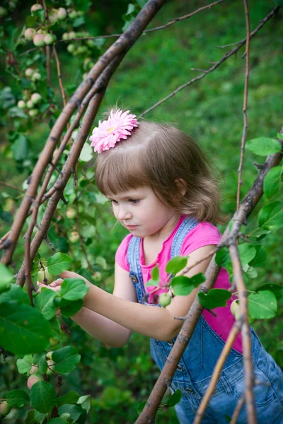 Beautiful little girl — Stock Photo, Image