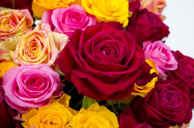 kırmızı gül gülümsemek