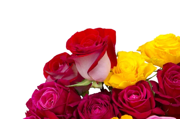 Monivärisiä ruusuja — kuvapankkivalokuva