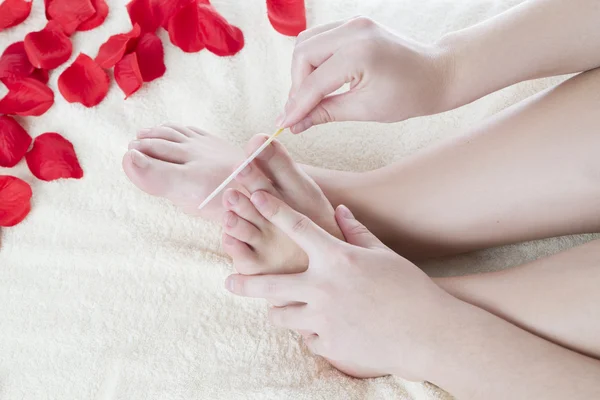 Beautiful female feet and rose petals. — Stock Photo, Image