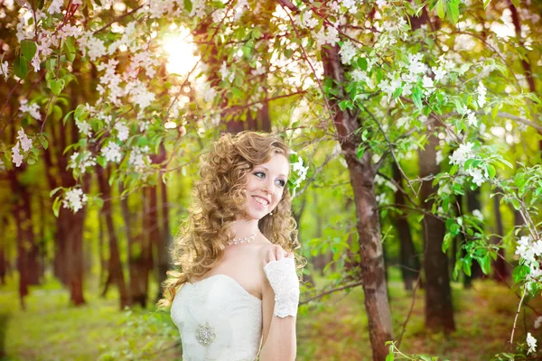 Hermosa novia en un vestido blanco en jardines florecientes en la primavera —  Fotos de Stock