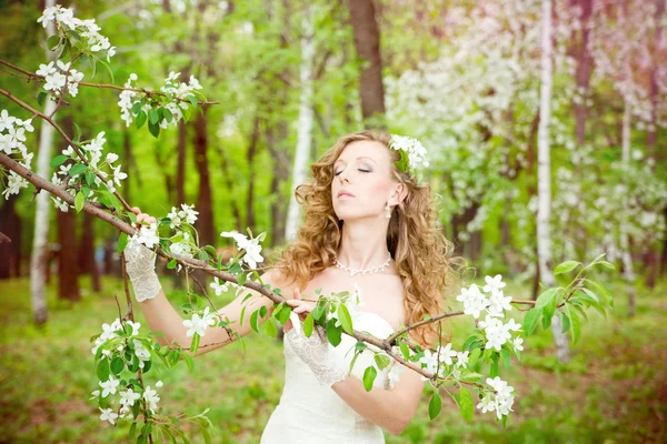 Bela noiva em um vestido branco em jardins florescentes na primavera — Fotografia de Stock