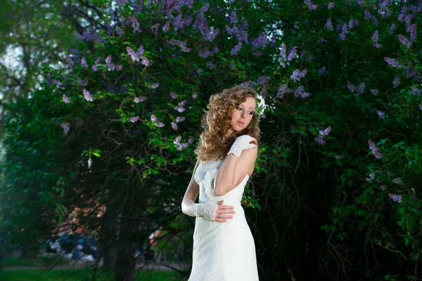 Bela noiva em um vestido branco em um fundo lilás na primavera — Fotografia de Stock