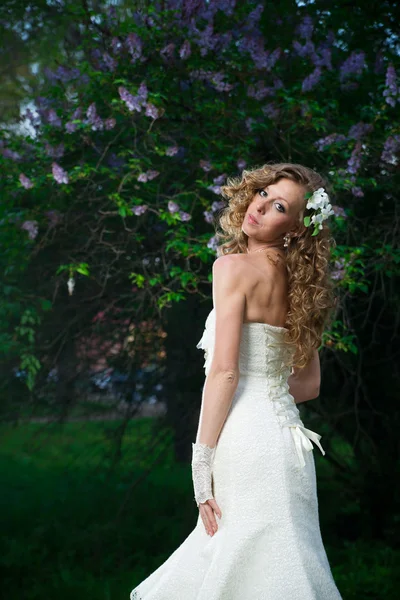 Hermosa novia en un vestido blanco sobre un fondo lila en primavera — Foto de Stock