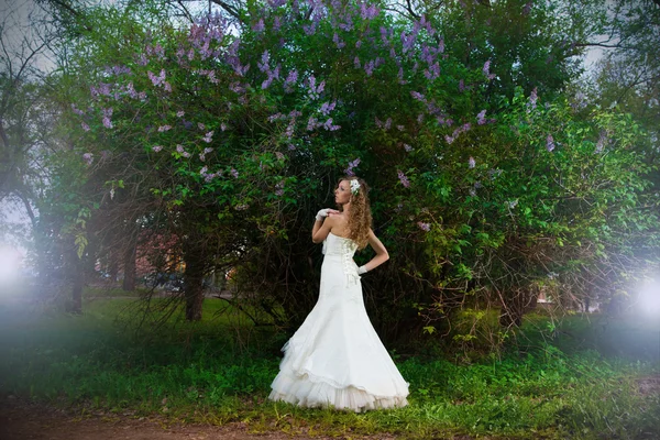 Bela noiva em um vestido branco em um fundo lilás na primavera — Fotografia de Stock