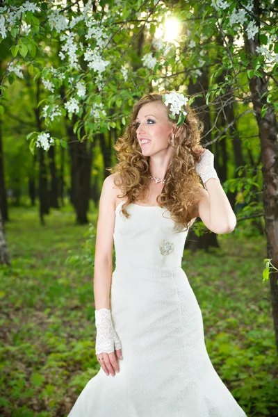 Vackra brud i en vit klänning i blommande trädgårdar under våren — Stockfoto