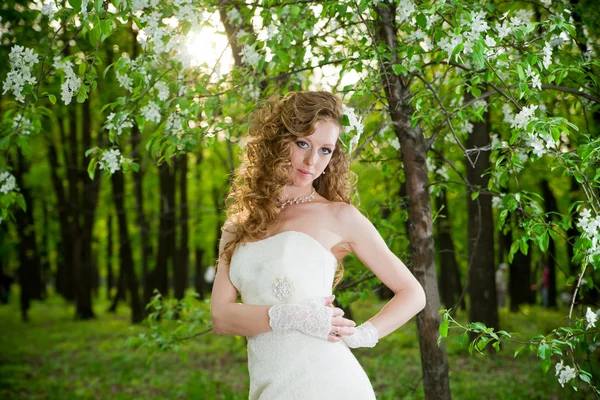 Hermosa novia en un vestido blanco en jardines florecientes en la primavera —  Fotos de Stock