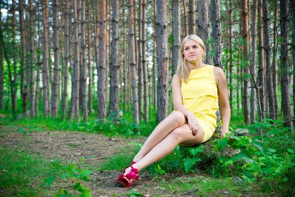 Gelukkig jonge vrouw in een dennenbos in de zomer — Stockfoto