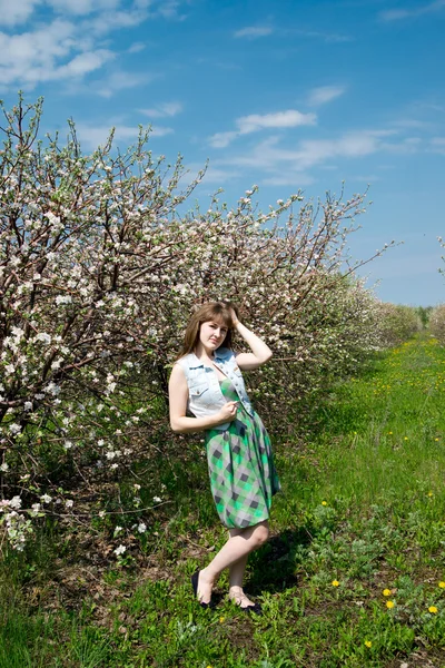 Giovane bella ragazza in primavera giardini fioriti — Foto Stock