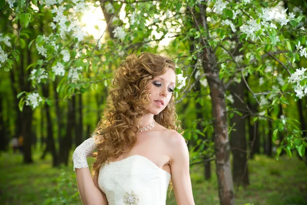 Schöne Braut im weißen Kleid in blühenden Gärten im Frühling — Stockfoto