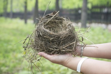 Kuş yuvası tatlı boş
