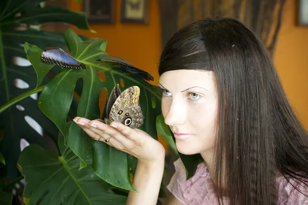 Kelebek ile güzel kız portresi — Stok fotoğraf