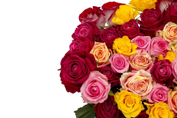 Multicolored roses — Stock Photo, Image