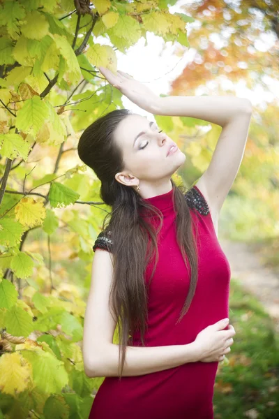 Portrait of beautiful young girl — Stock Photo, Image