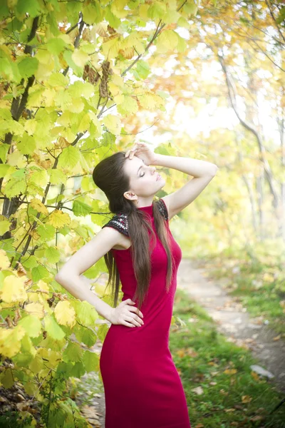 Herfst schoonheid vrouw portret — Stockfoto