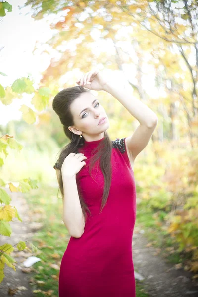 Outono mulher beleza retrato — Fotografia de Stock