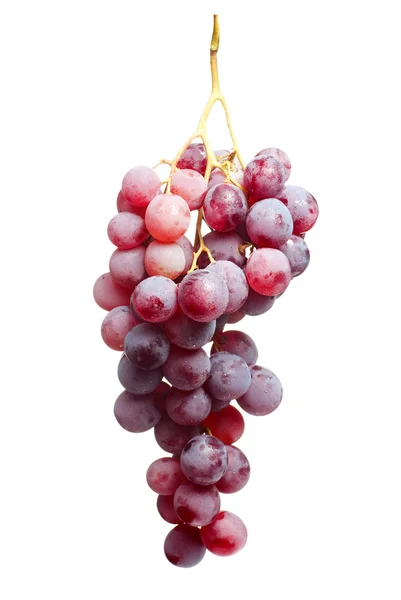 Tasty bunch of red grapes, isolated — Stock Photo, Image