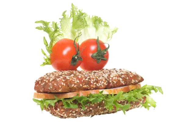 Fröhliches Sandwich — Stockfoto