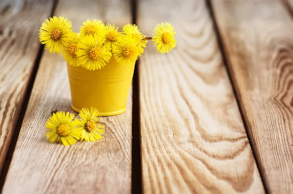 Bouquet of flowers mother and stepmother(Tussilágo) — 图库照片#