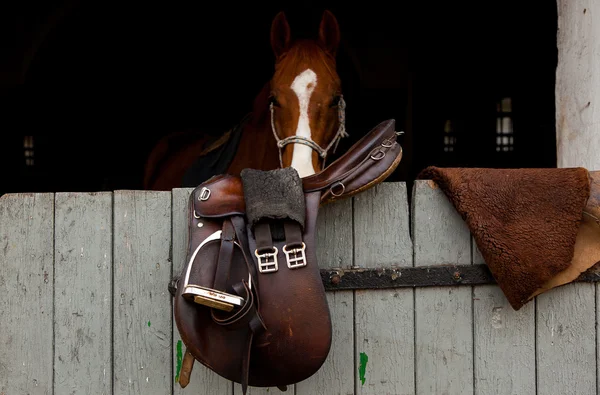 Cavalo no estábulo com a sela da porta pendurada — Fotografia de Stock