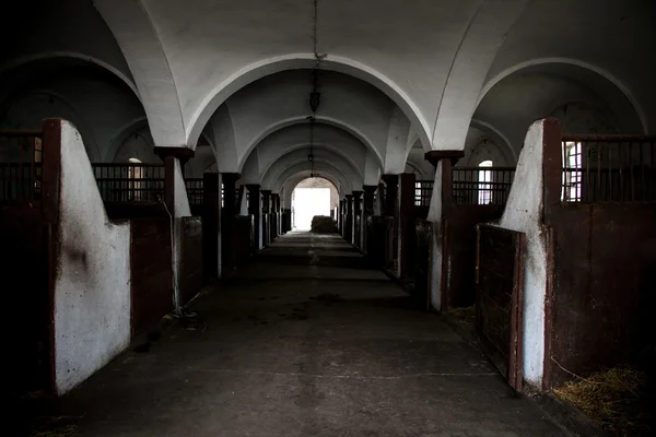 Niza caballo grande establo cobertizo interior — Foto de Stock