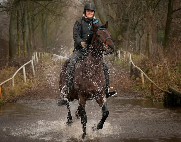 Cavaleiro e Cavalo Equestre — Fotografia de Stock