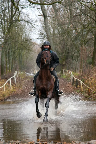 Cavaleiro e Cavalo Equestre — Fotografia de Stock