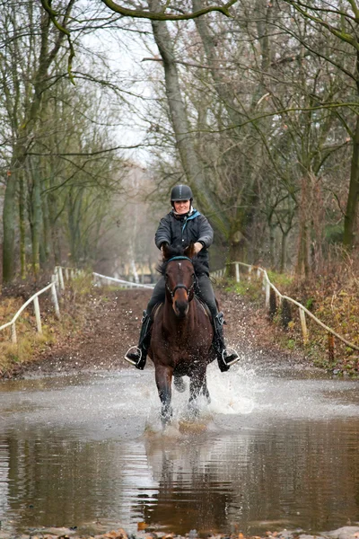 Reiter und Pferd — Stockfoto