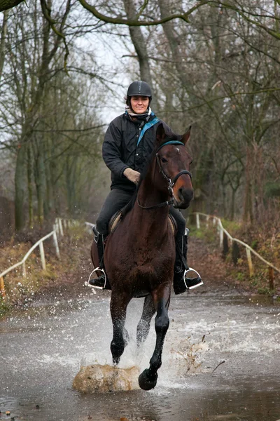 Cavalier équestre et cheval — Photo