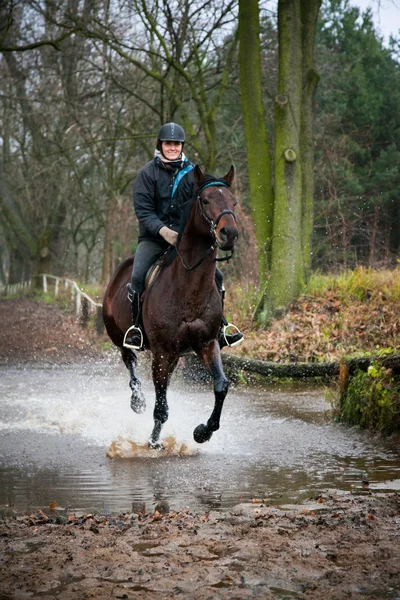 Cavalier équestre et cheval — Photo