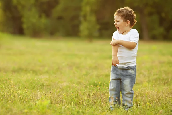 Baby boy standing in the field — Stock Photo, Image
