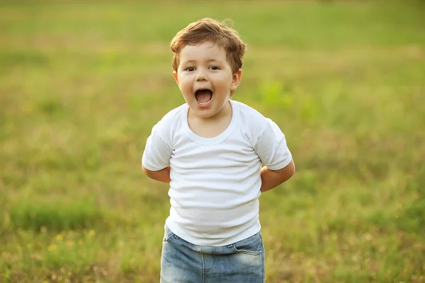 Bebé niño de pie en el prado —  Fotos de Stock