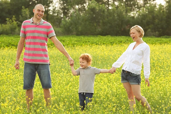 Lyckliga familjen ha roligt i fältet av solrosor. pappa kramar sin son. — Stockfoto