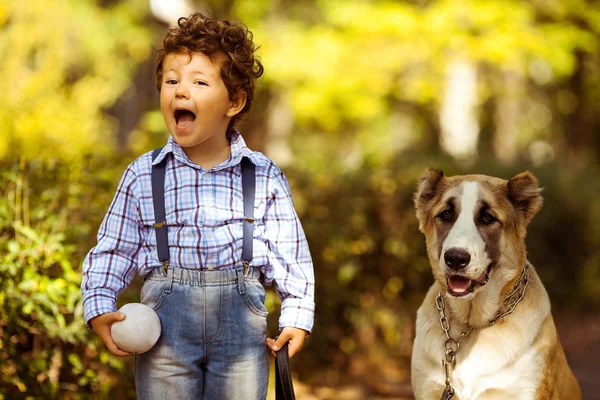 Rapaz e cão — Fotografia de Stock