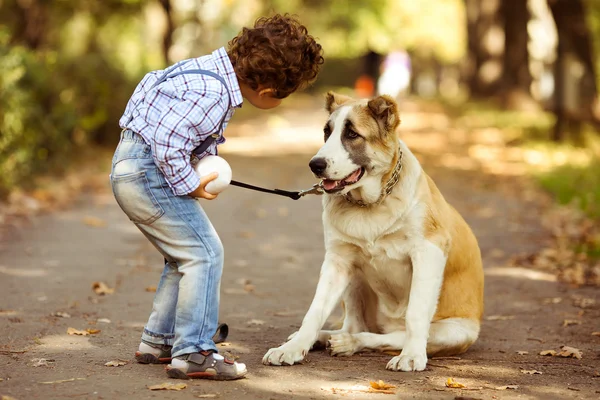 Αγόρι και σκύλου男孩与狗 — Φωτογραφία Αρχείου