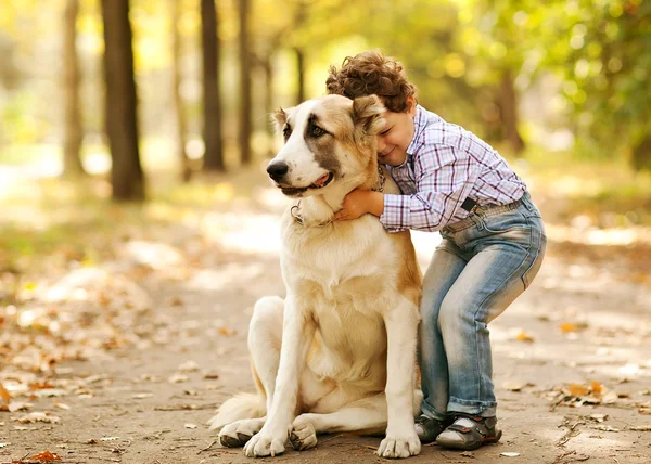 Kleiner süßer Junge spielt mit seinem Hund — Stockfoto