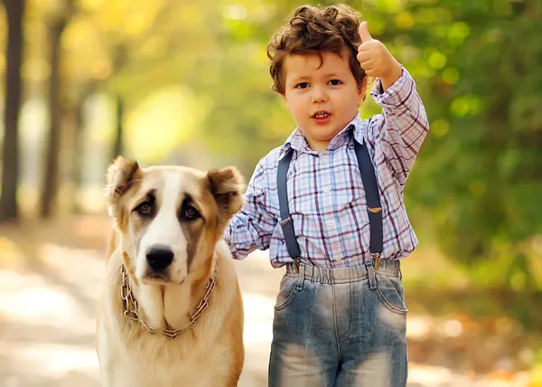 Menino brincando com o cão — Fotografia de Stock