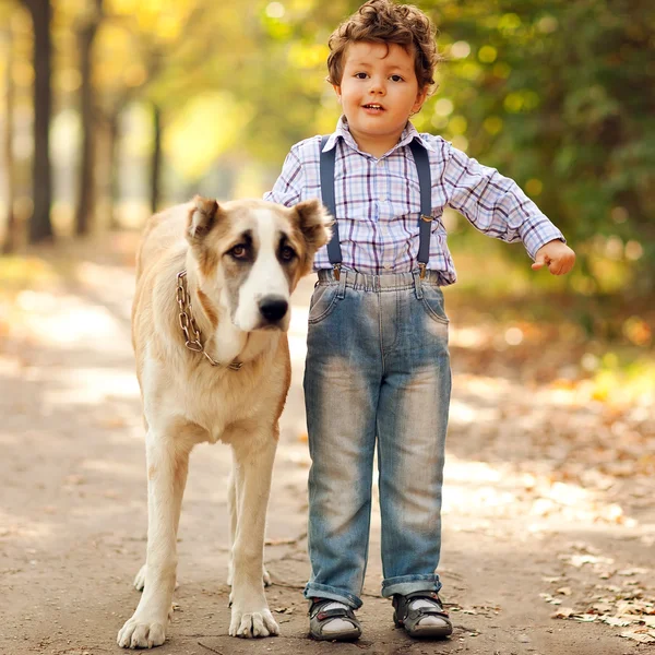 Маленький милый мальчик играет со своей собакой — стоковое фото