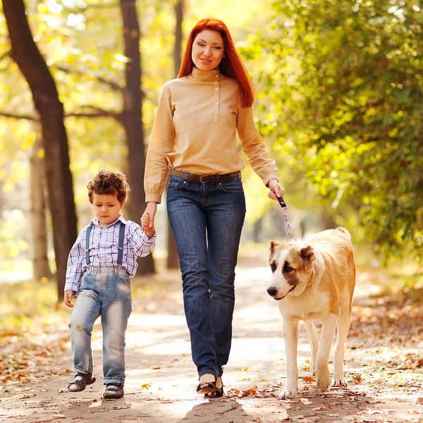 Happy family having fun in the park. Mother sitting with black d — Stock Photo, Image