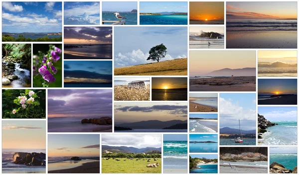 Tasmanian collage — Stock Photo, Image