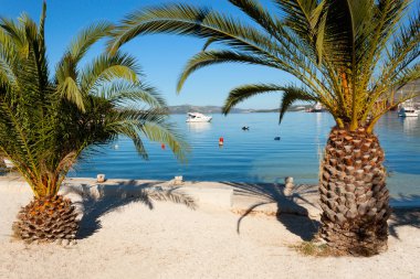 Palma.