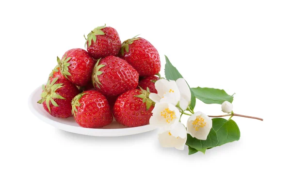 Plaat met aardbeien en jasmijn tak. — Stockfoto