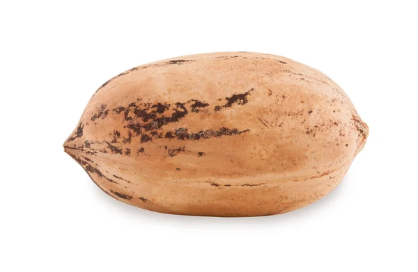 Pecan. Stock Photo