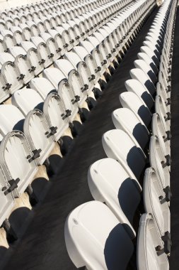 satırlar, beyaz sandalye