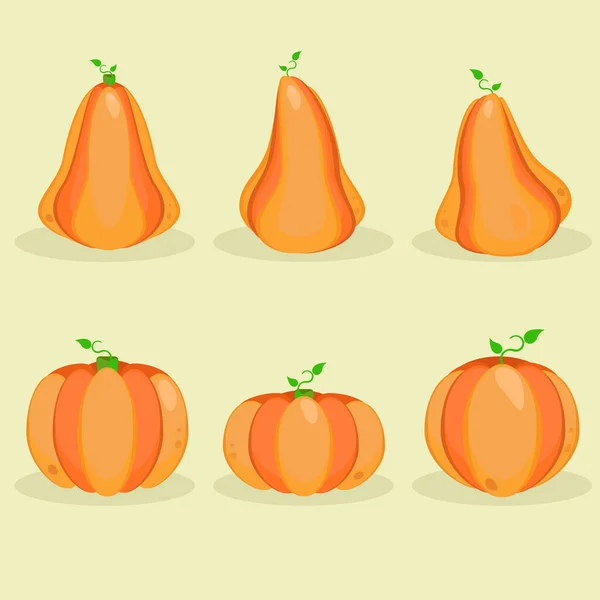 Set Orange Pumpkin Vector Illustration Autumn Halloween Pumpkin Vegetable Graphic — 스톡 벡터