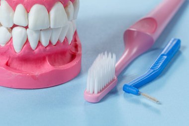 Arka planda bir diş fırçası, bir interdental fırça ve bir insan çene düzeni yakın görüntüsü.
