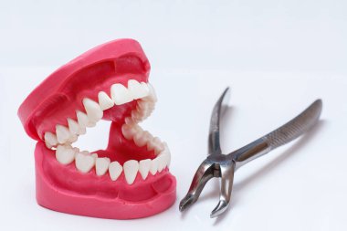 Bir insan çenesinin yapısı ve mavi arkaplanda paslanmaz çelik diş maşası.