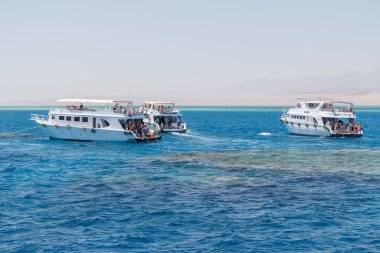 SHARM EL SHEIKH, EGYPT - 7 Haziran 2021: Sharm El Sheikh, Mısır 'da Kızıldeniz körfezinde turistlerle lüks yatlar. Bazı turistler zengin sualtı dünyasıyla mercan resiflerini görmek için şnorkelle yüzüyor.