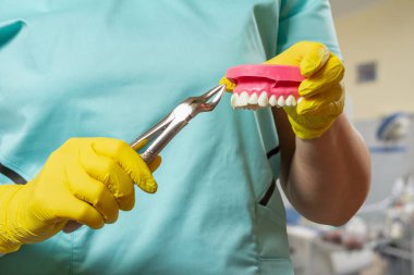 İnsan çenesi yapısı olan dişçi hasta bir dişin nasıl çekileceğini gösteriyor. Paslanmaz çelik diş maşası ya da penseye odaklan..