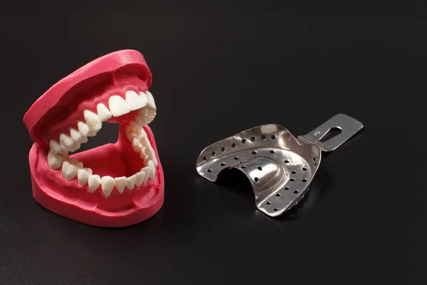 Layout Human Jaw Stainless Steel Dental Impression Tray Black Background — Stock Photo, Image